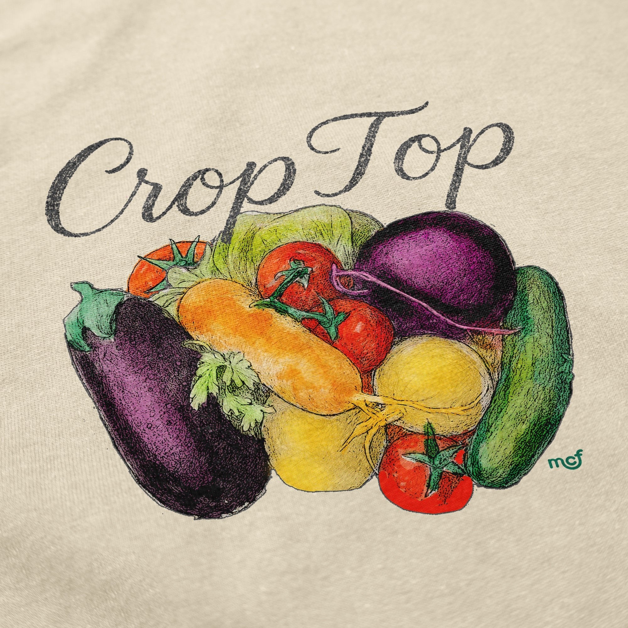 Crop Top T Shirt - Middle Class Fancy