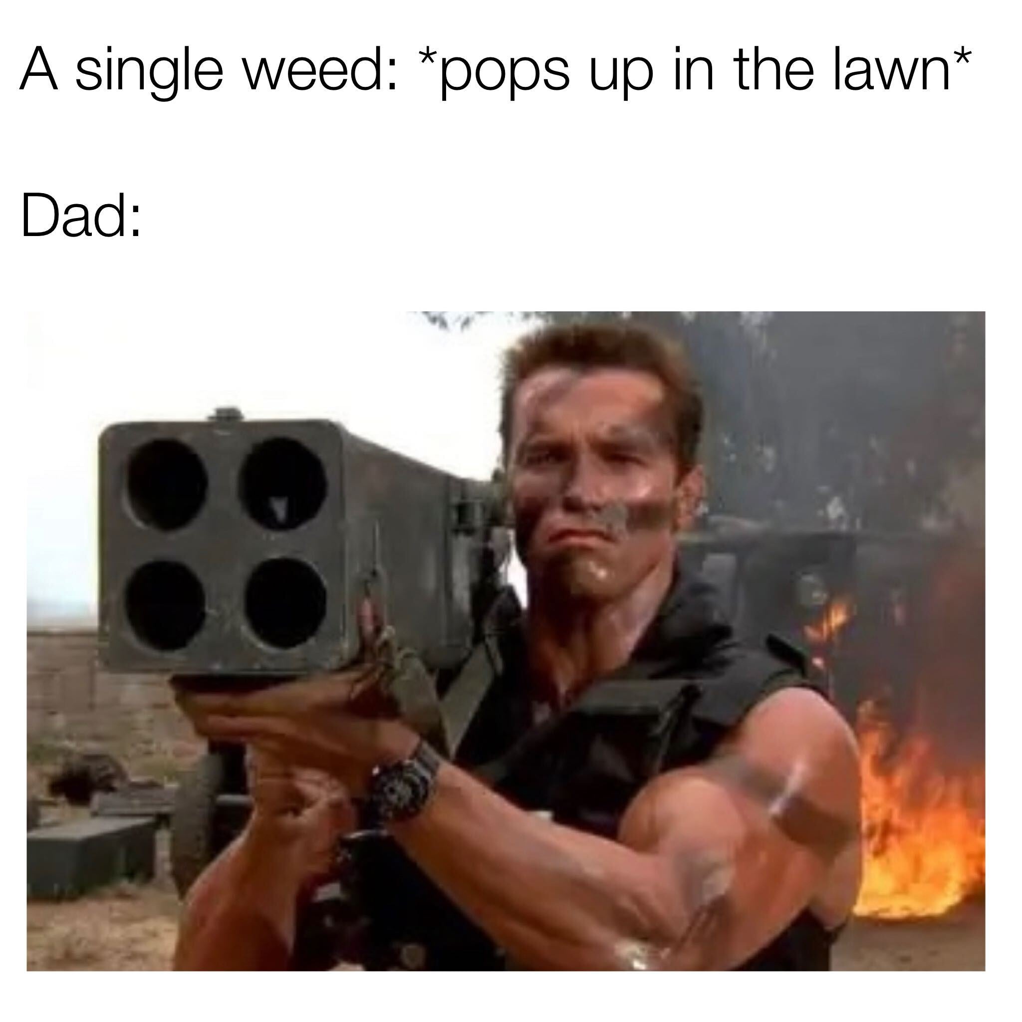 Dads Against Weed T Shirt - Middle Class Fancy