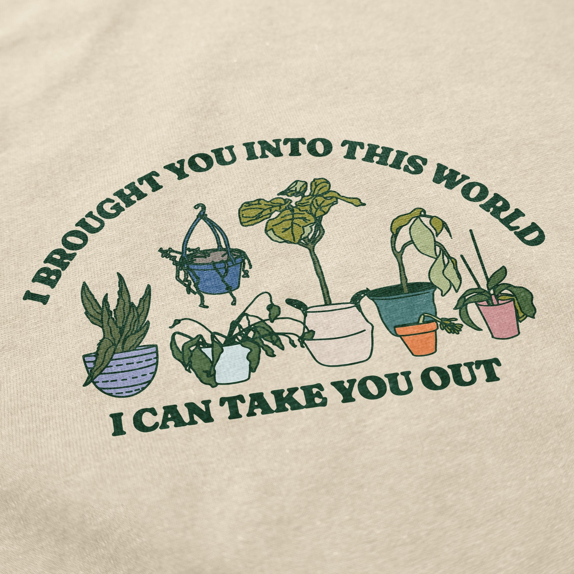 Into This World - Middle Class Fancy