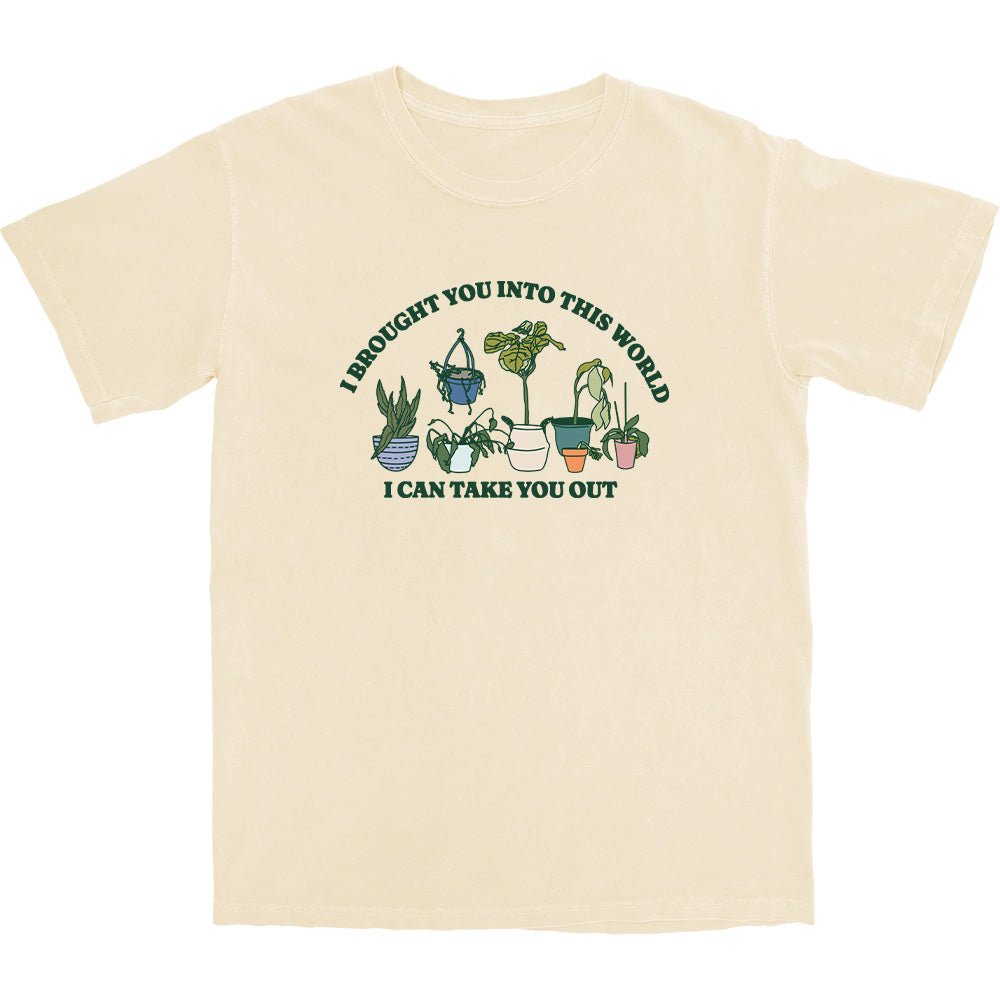 Into This World - Middle Class Fancy