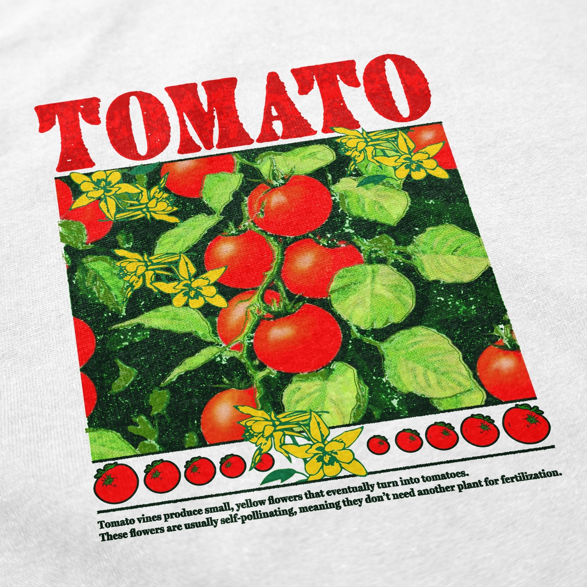 Tomato T Shirt - Middle Class Fancy