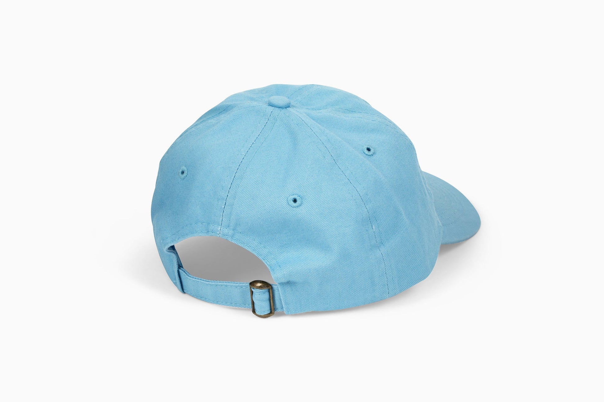 Dino Dad Hat Baby Blue - Middle Class Fancy