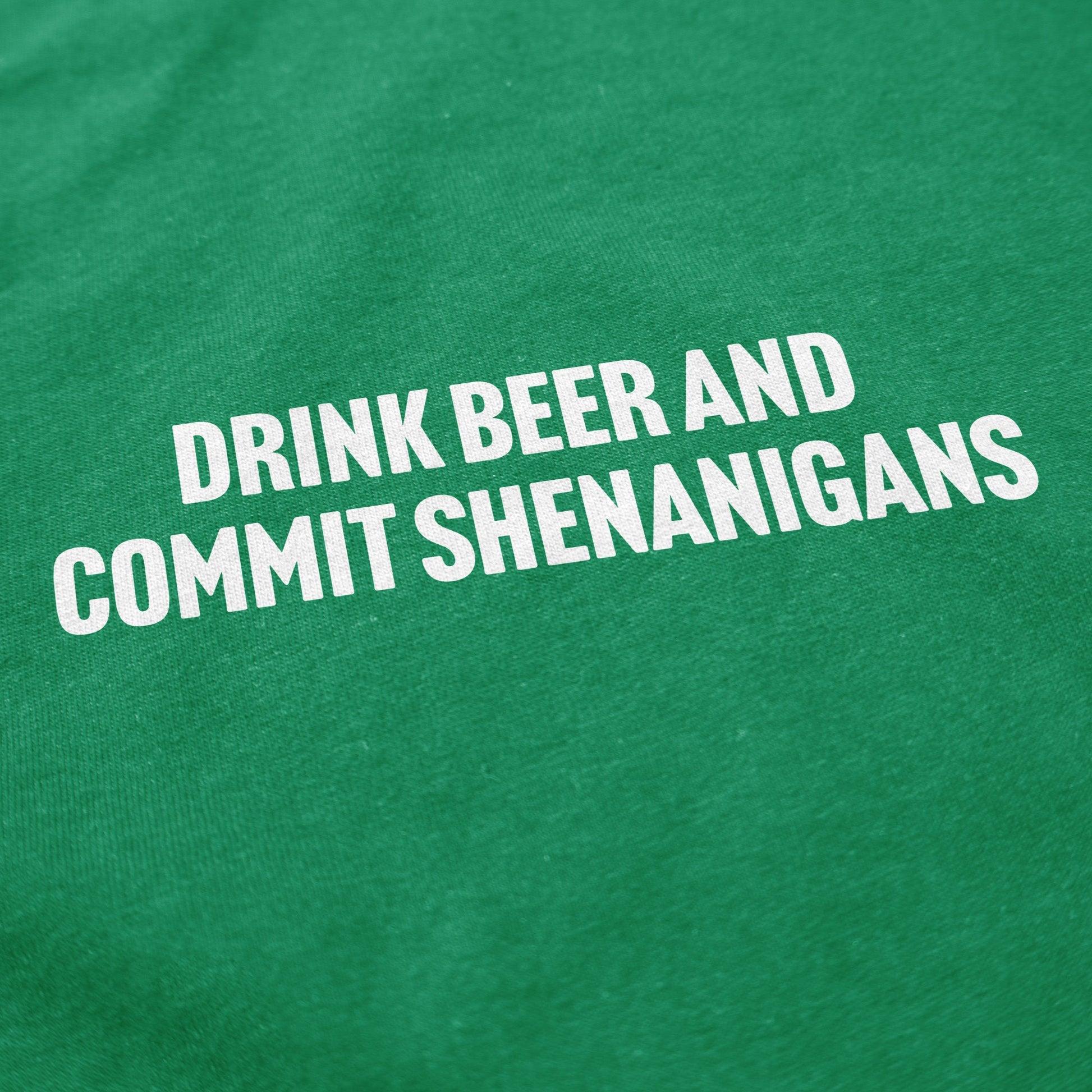 Drink Beer and Commit Shenanigans T Shirt - Middle Class Fancy