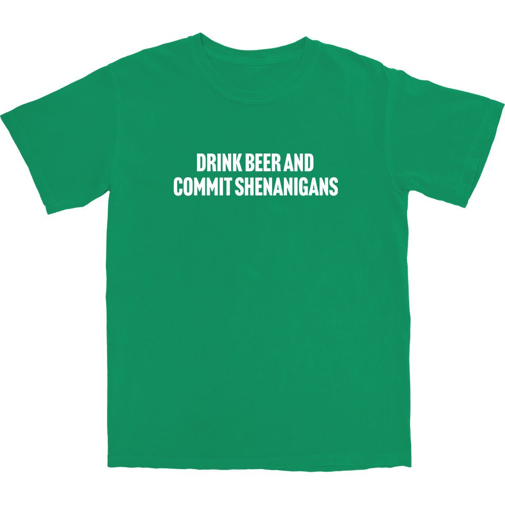 Drink Beer and Commit Shenanigans T Shirt - Middle Class Fancy