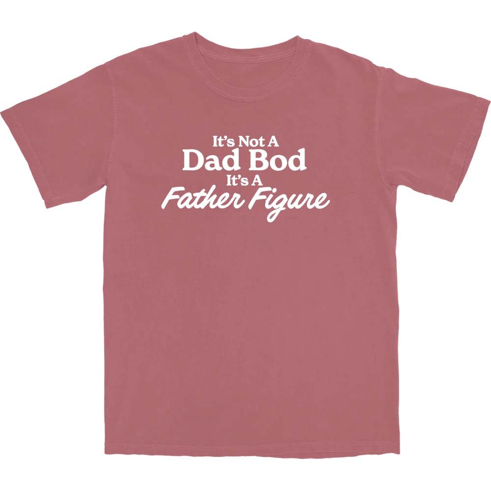 Father Figure T Shirt - Middle Class Fancy