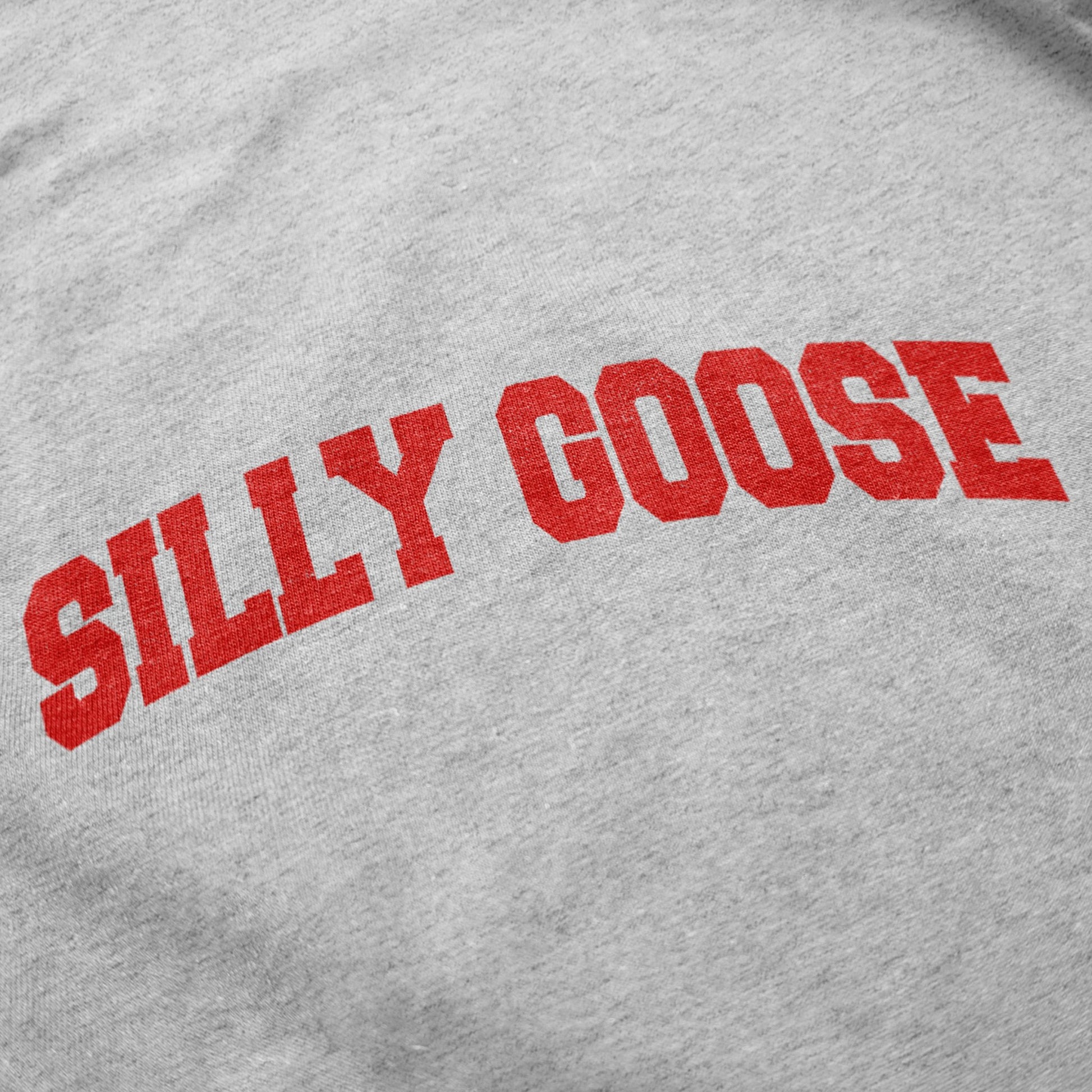 Silly Goose Academy Crewneck Sweatshirt - Middle Class Fancy