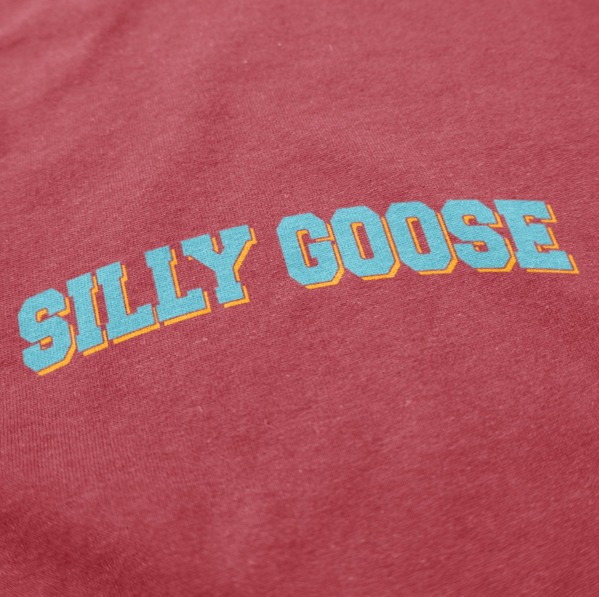 Silly Goose Academy T Shirt - Middle Class Fancy