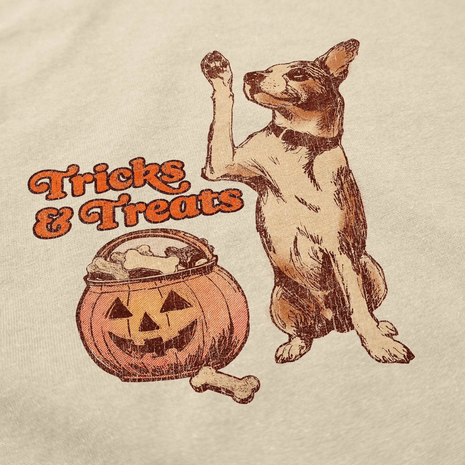 Tricks & Treats T Shirt - Middle Class Fancy