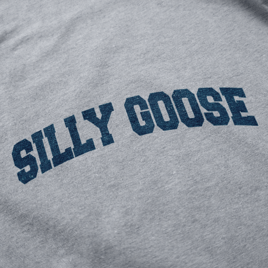 Silly Goose Academy Hoodie Sweatshirt